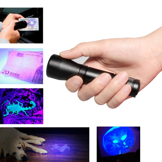 UV Flashlight