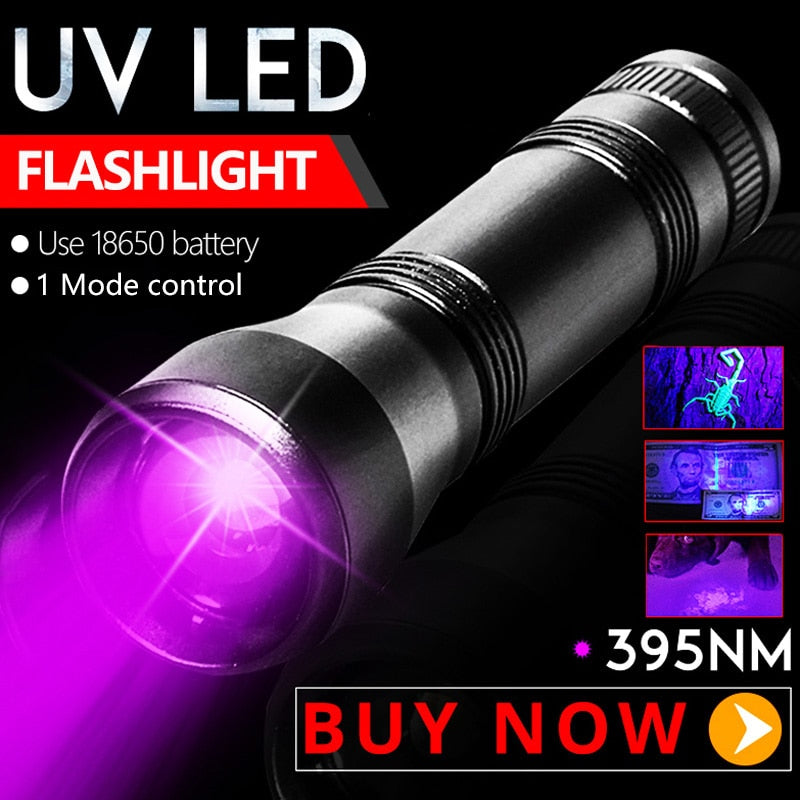 UV Flashlight