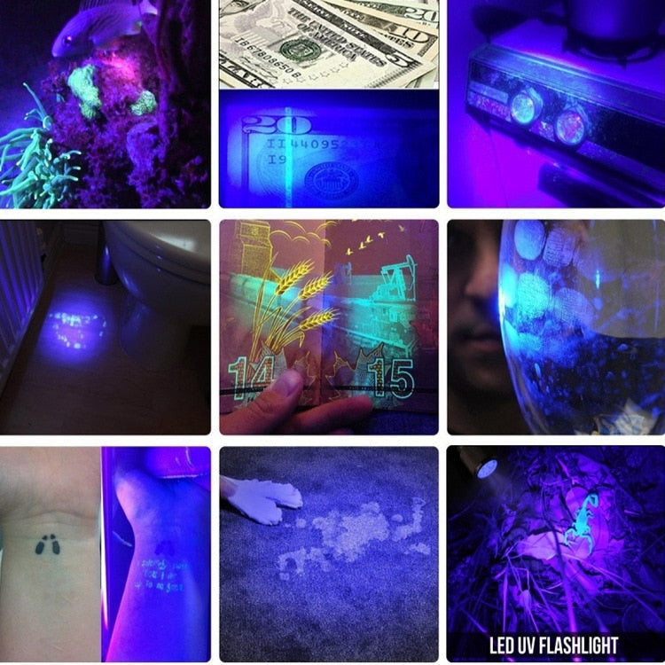 UV Flashlight